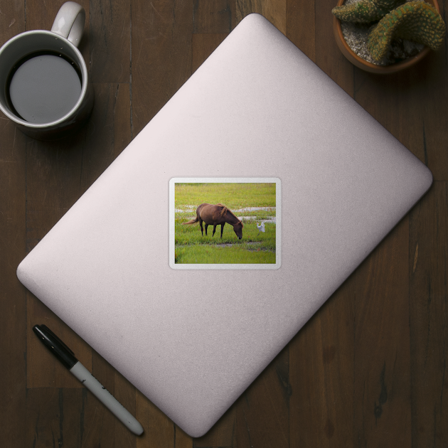 Assateague Pony and Cattle Egret in the Marsh by Swartwout